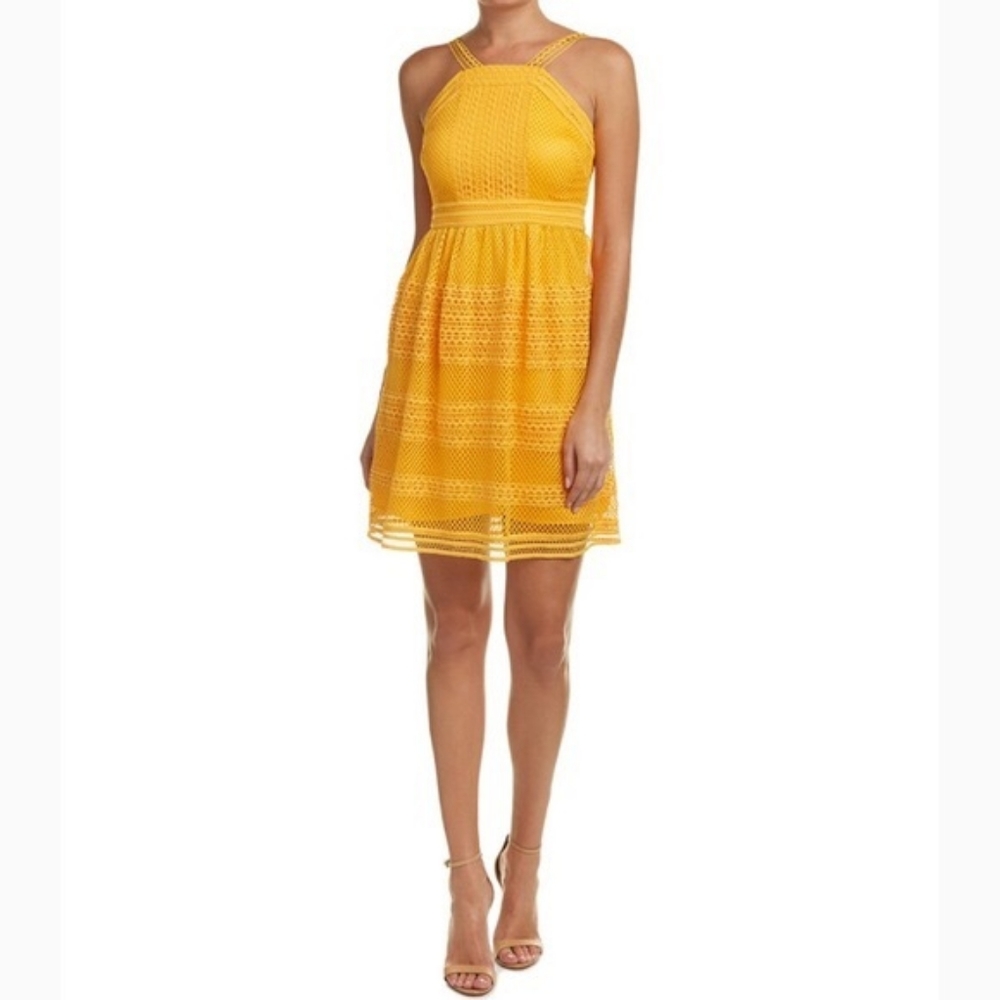 NWT Tahari On My Mind Dress